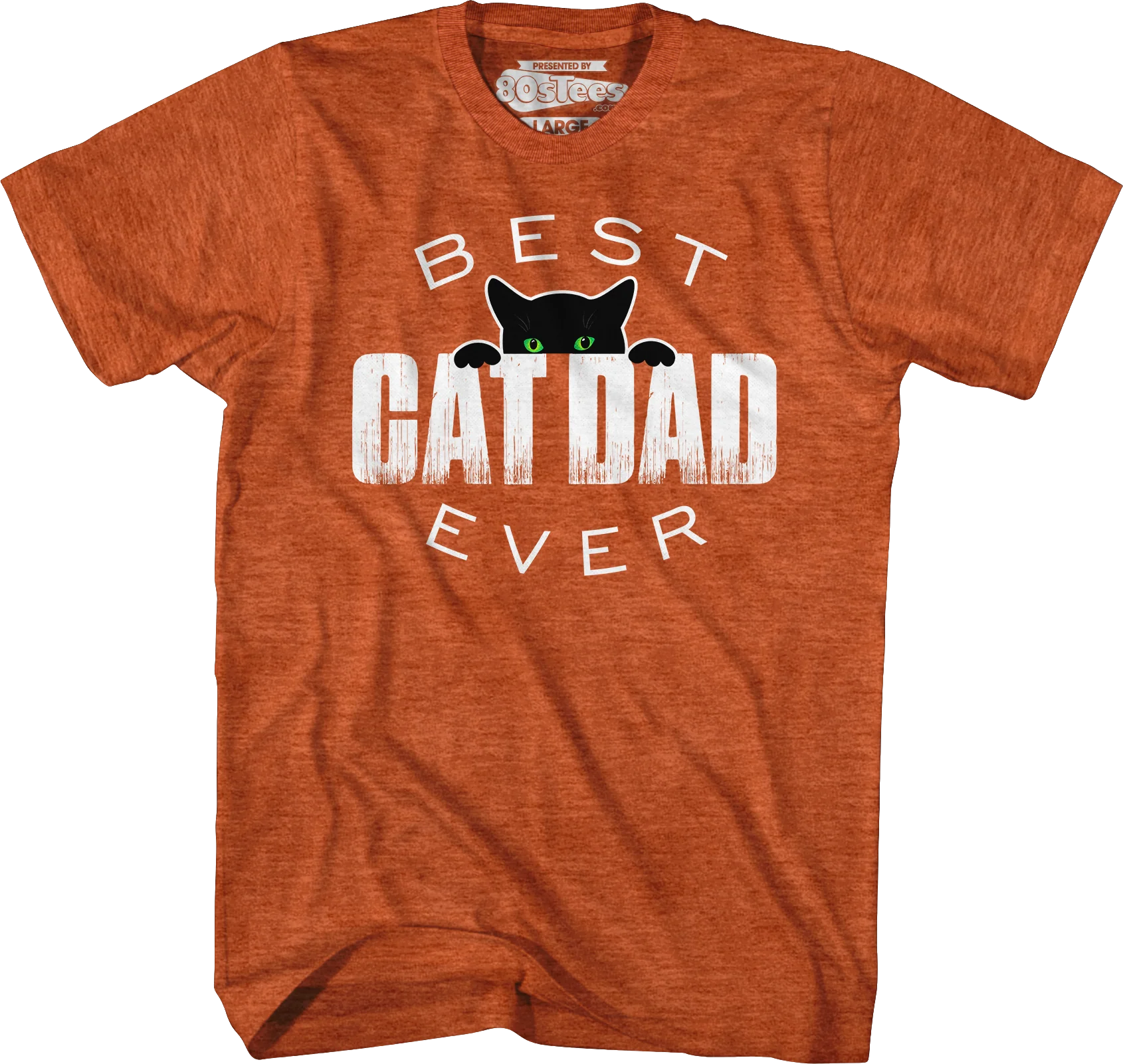 Best Cat Dad Ever T-Shirt - Image 3