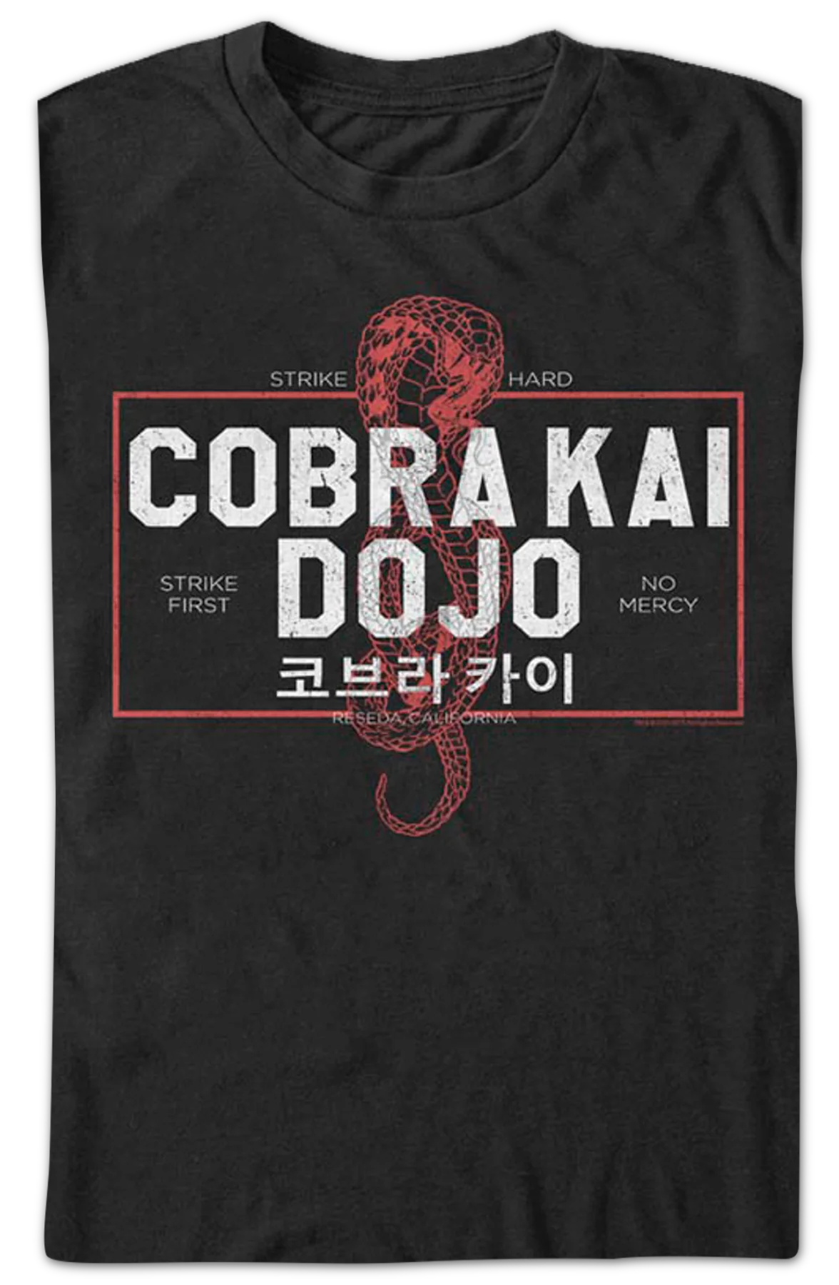 Kanji Text Cobra Kai T-Shirt - Image 2