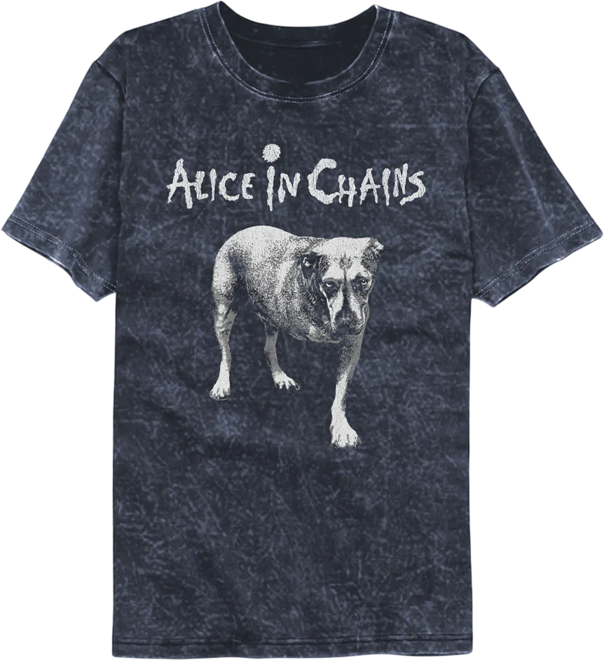 Tripod Alice In Chains Mineral Wash T-Shirt